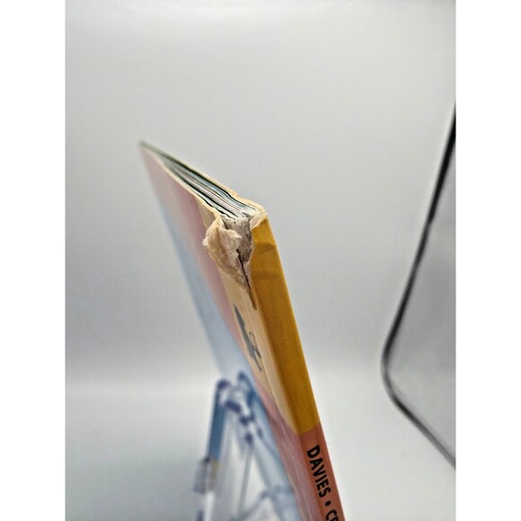 Surprising Sharks Read and Wonder Children’s Book Nicola Davies - Picture 3 of 5